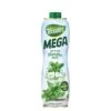 Teisseire Green Mint Flavor Syrup Mega 130cl -Mon Panier Shop 3092718626730 PHOTOSITE 20210325 075439 0
